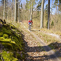 20190414mtbkolmx0703.jpg