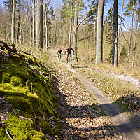 20190414mtbkolmx0705.jpg