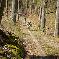 20190414mtbkolmx0731.jpg