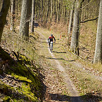 20190414mtbkolmx0779.jpg