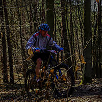 20190414mtbkolmx2144.jpg