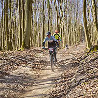 20190414mtbkolmx2558.jpg