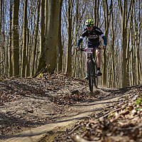 20190414mtbkolmx2807.jpg